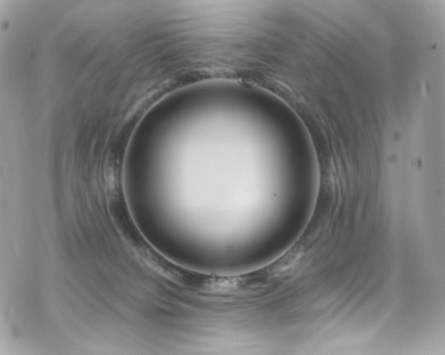 X0000076350084200609291207