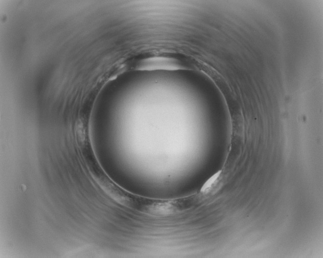 X0000076350086200609291208