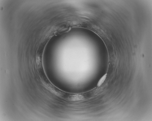 X0000076350087200609291208