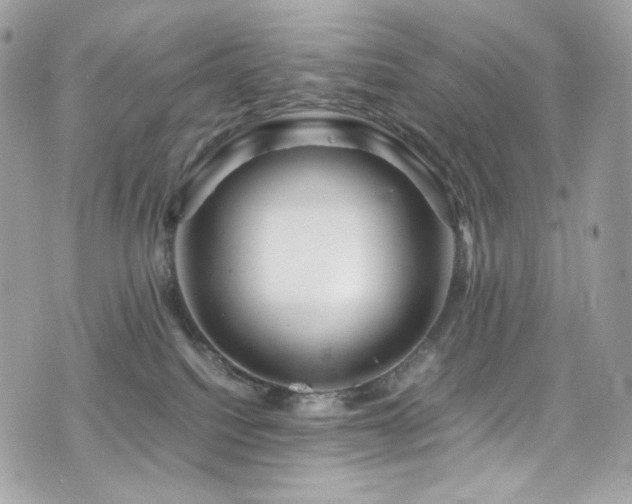 X0000076350088200609291208