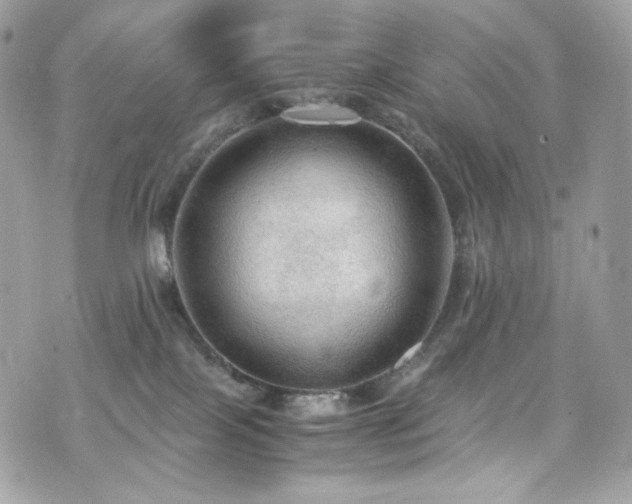 X0000076350089200609291208