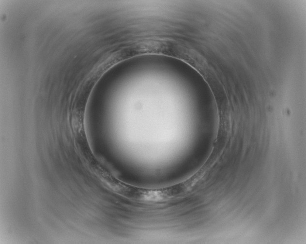 X0000076350091200609291208