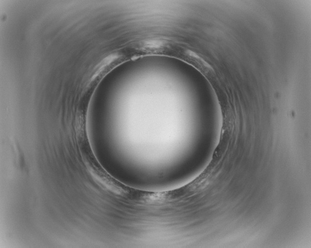 X0000076350092200609291208
