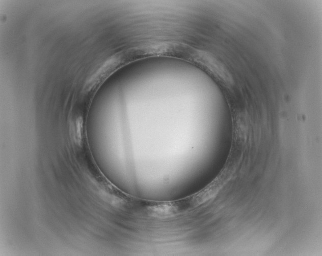 X0000076350118200609291207