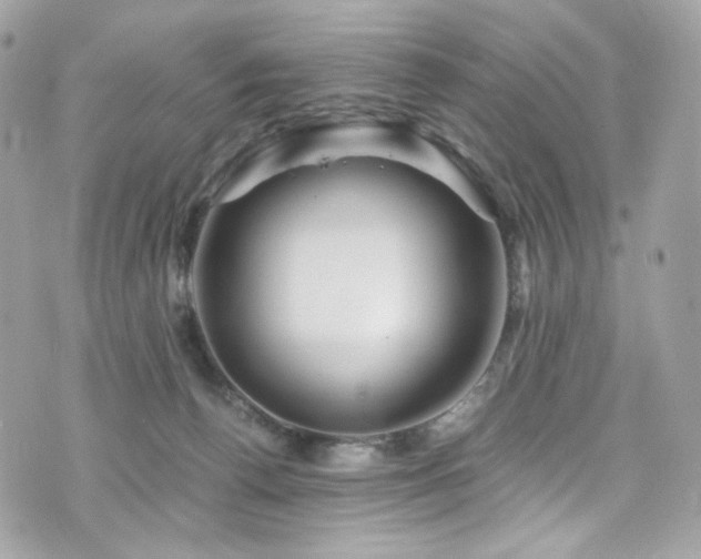 X0000076350176200609291206