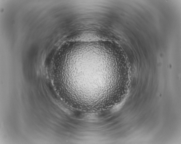 X0000076350182200609291206