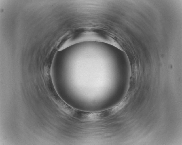 X0000076350184200609291206