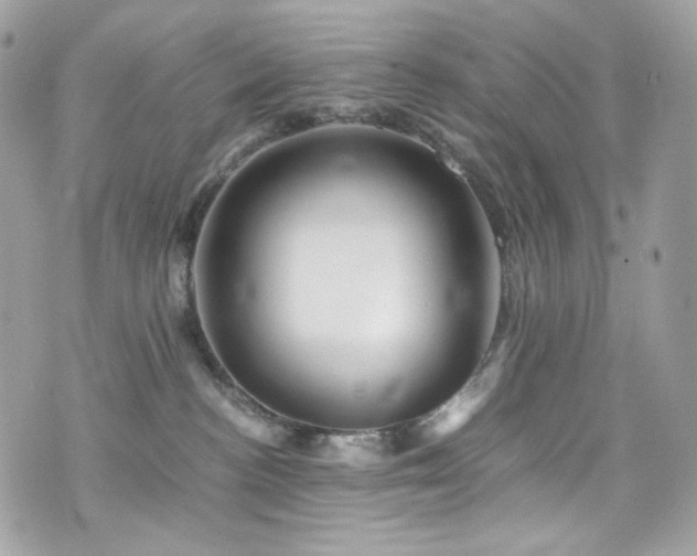 X0000076350188200609291206