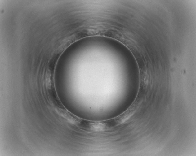 X0000076350226200609291205