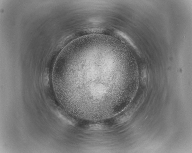 X0000076350259200609291204