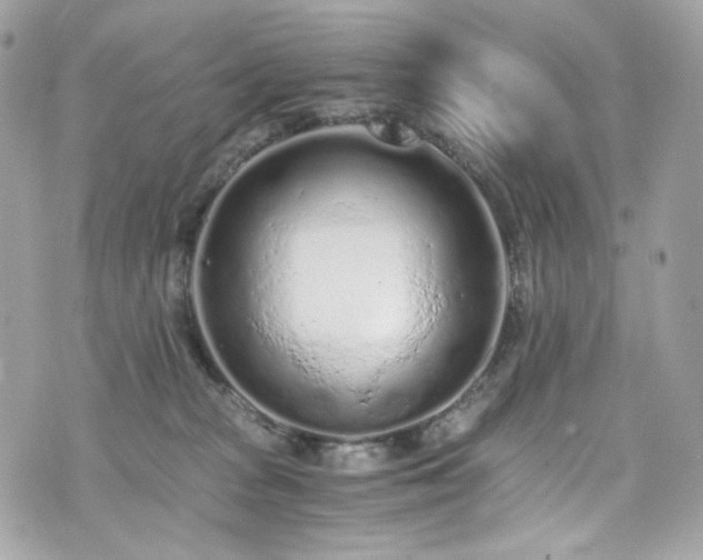 X0000076350277200609291204