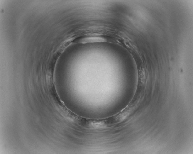 X0000076350283200609291204
