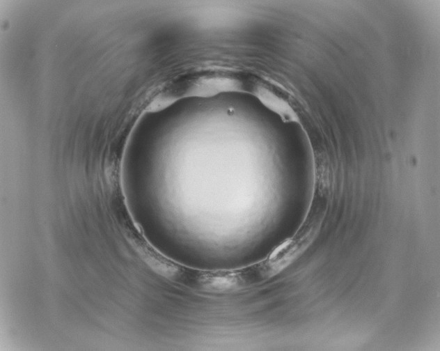 X0000076350285200609291205