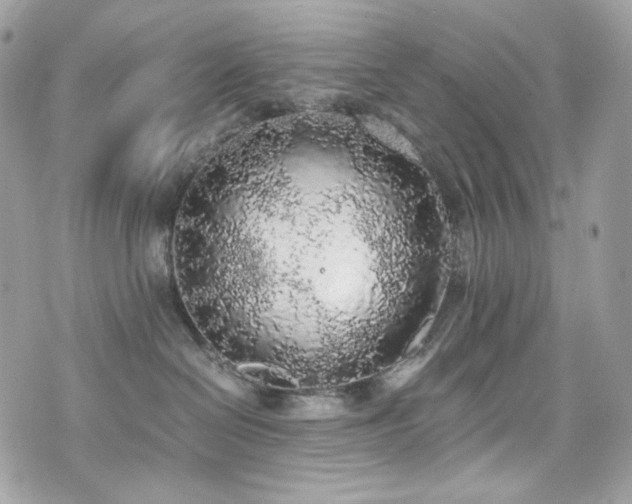 X0000076350286200609291205