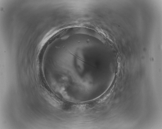 X0000076350295200609291204