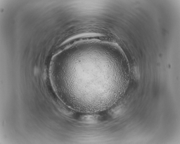 X0000076350323200609291203