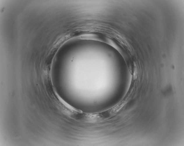 X0000076350333200609291203