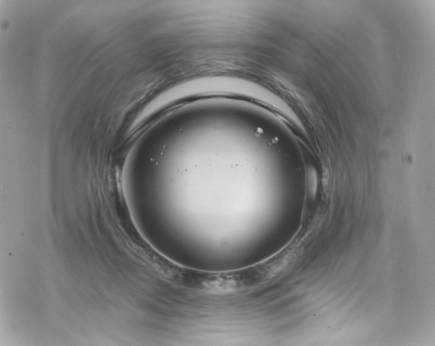 X0000076350362200609291203