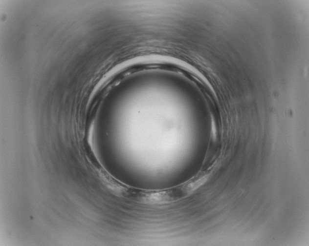 X0000076350382200609291203