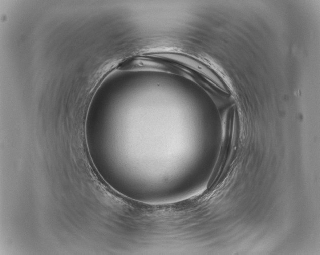 X0000076350385200609291202