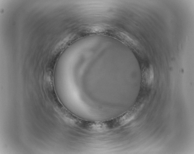 X0000076350415200609291202