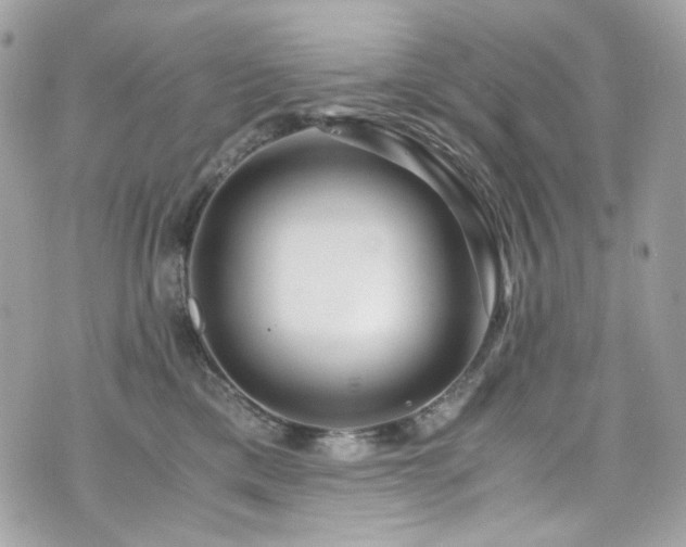 X0000076350425200609291202