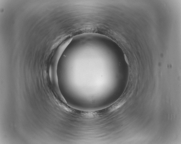 X0000076350432200609291201