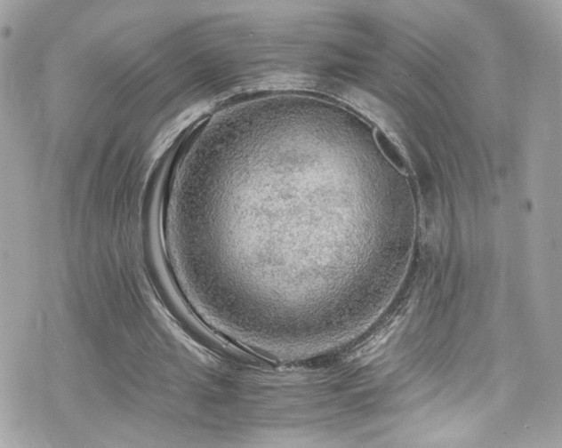 X0000076350437200609291201