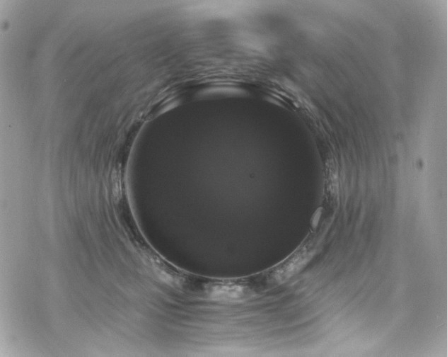 X0000076350471200609291201