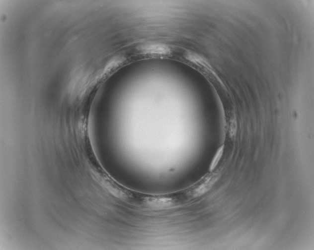 X0000076350476200609291201