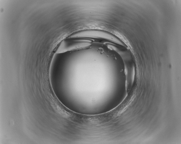 X0000076350481200609291201