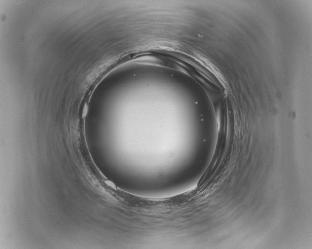 X0000076350485200609291201