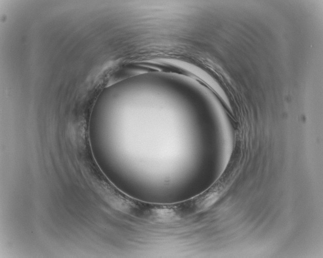 X0000076350509200609291200