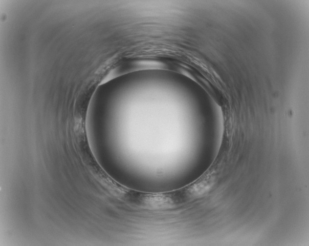 X0000076350521200609291200