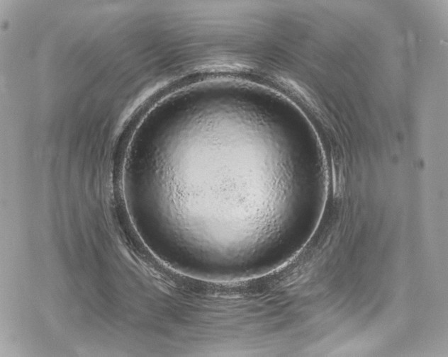 X0000076350531200609291159