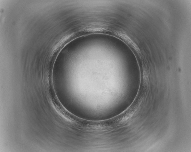 X0000076350533200609291159