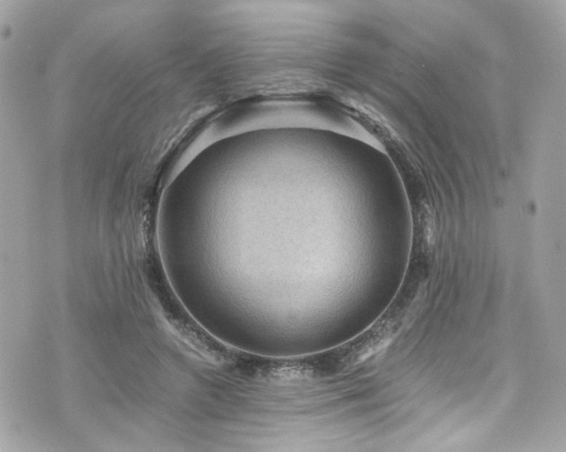 X0000076350546200609291159