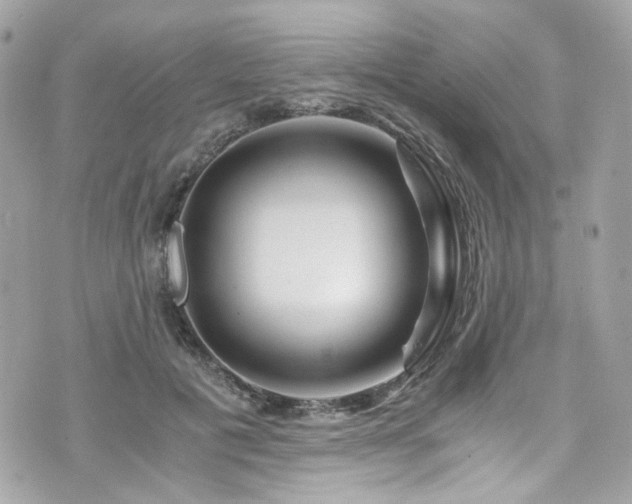 X0000076350601200609291159