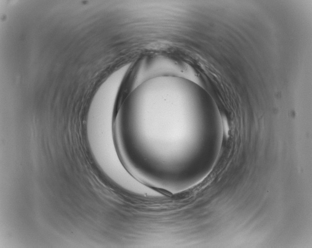 X0000076350605200609291159