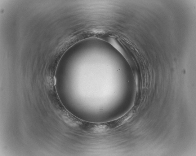 X0000076350609200609291159