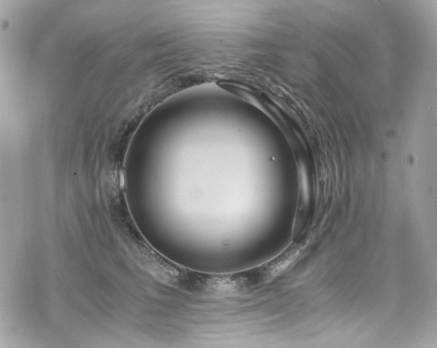 X0000076350613200609291158