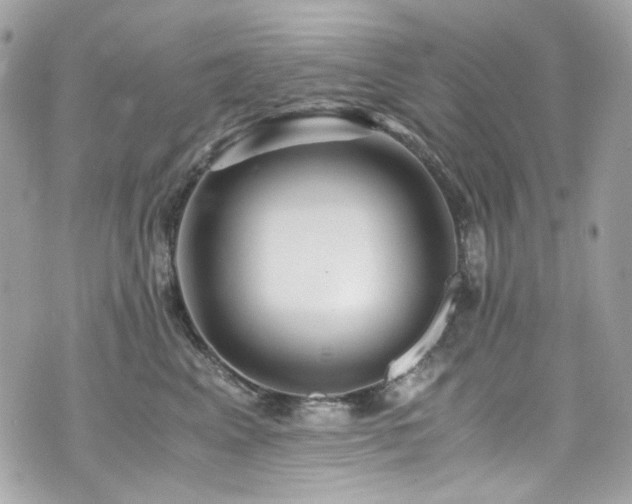 X0000076350617200609291158