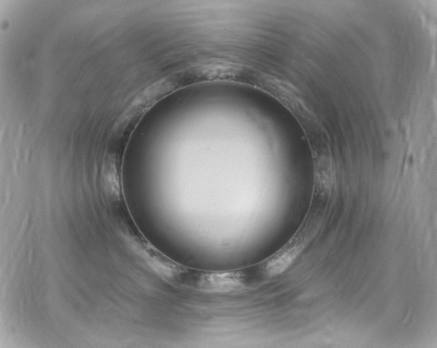 X0000076350622200609291158