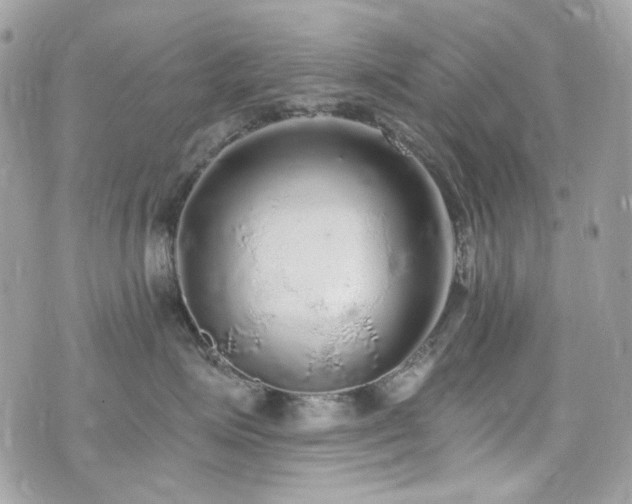 X0000076350623200609291158