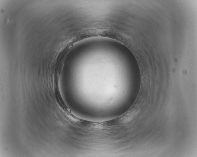 X0000076350624200609291158