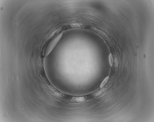 X0000076350665200609291158