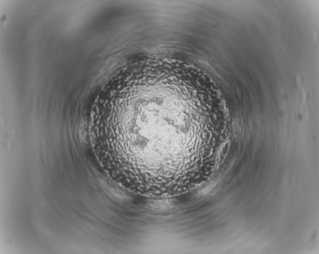 X0000076350671200609291158
