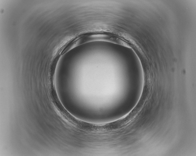 X0000076350677200609291157