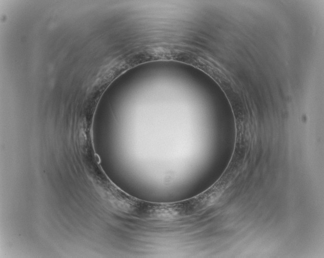 X0000076350702200609291157