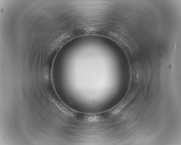 X0000076350710200609291157